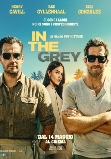 IN THE GREY